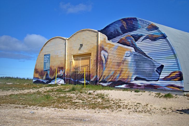 6ce02e59a89703db2622fedad7