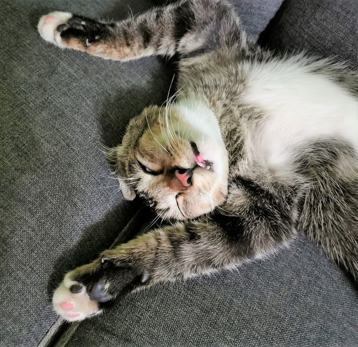 6ce3f152beb53b45f39b8e9fd1