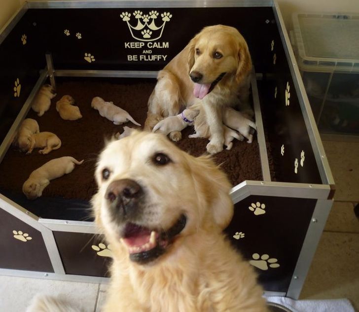 6cece45d59bb3ba09bdd6389ff