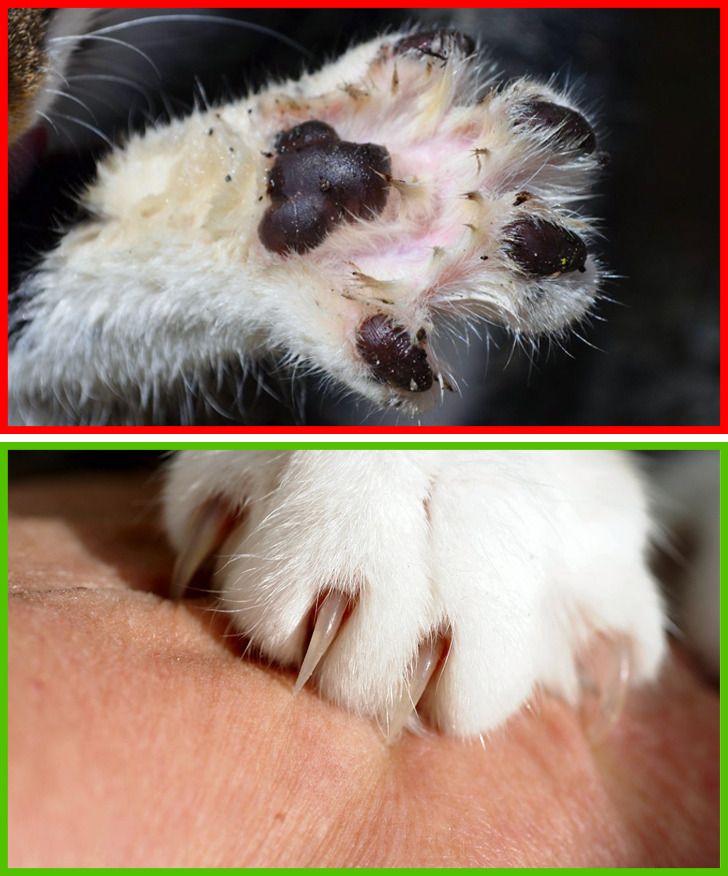 6cf0005aa9b3a7758ddccbb033