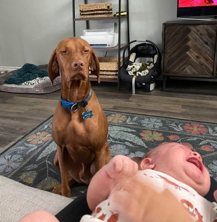 6cf996587da07c817fe1564de1