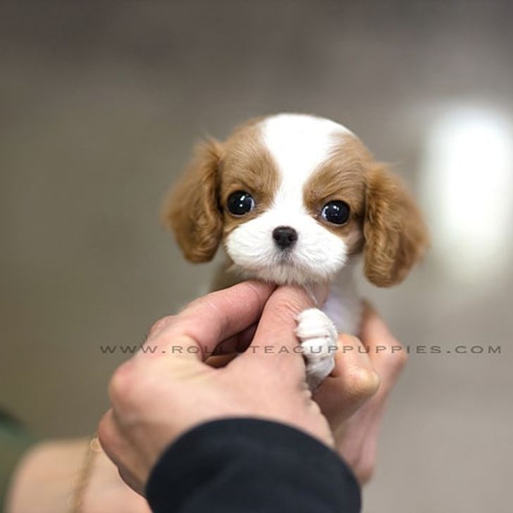 6cfaf55e7fbbfba0a78a60d270