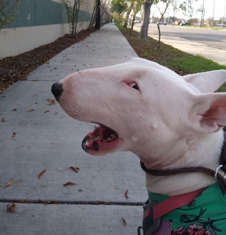 6cff5f549bbc89ce48a77c9e81