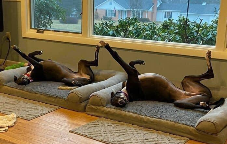 6d01cc5fc5ab40647af98b1e90