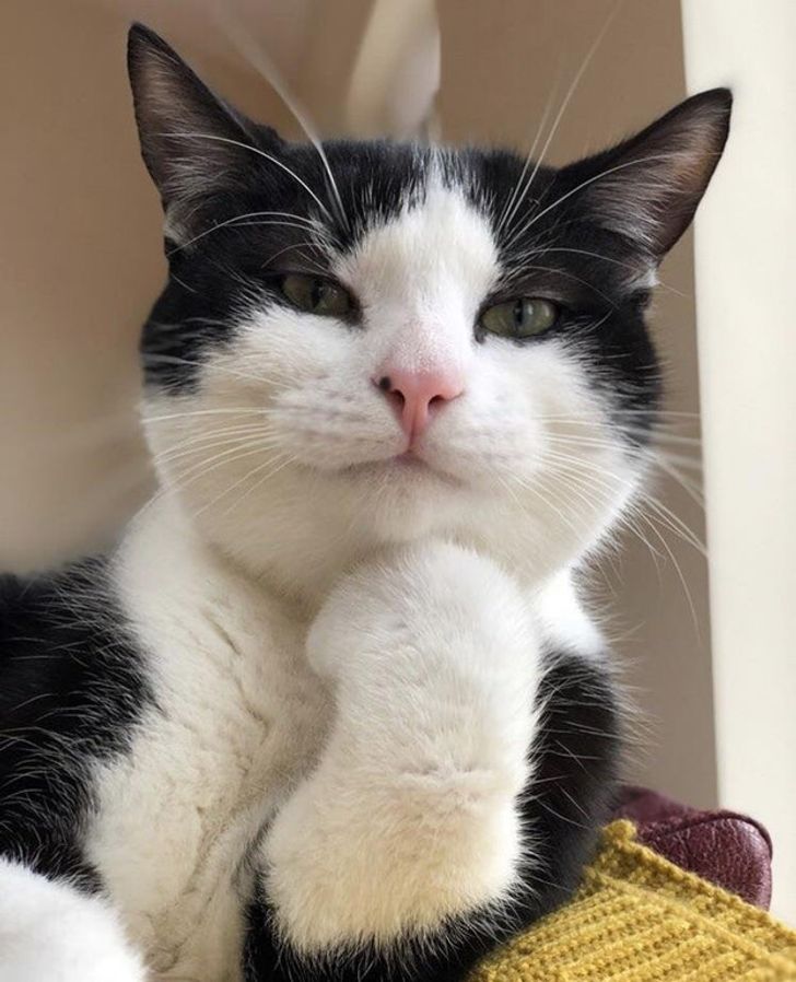 6d1590589aa2a29e69a93c6201