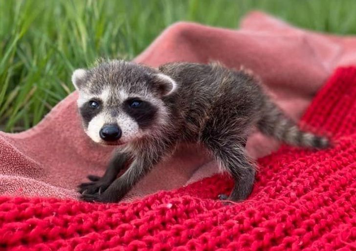 6d1ad356fbbb0f2bd632253f39