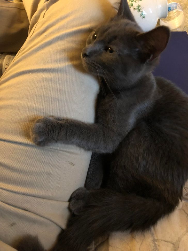 6d1e7d5afcad6ed63743ca4b4d 6d1e7d5afcad6ed63743ca4b4d