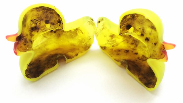 6d2d305fe0977a8c67ea80d2c0