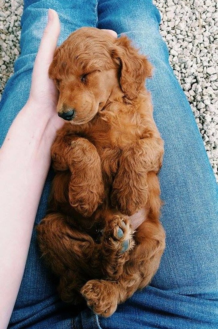 6d30ba5ccfab97431a62020c5e