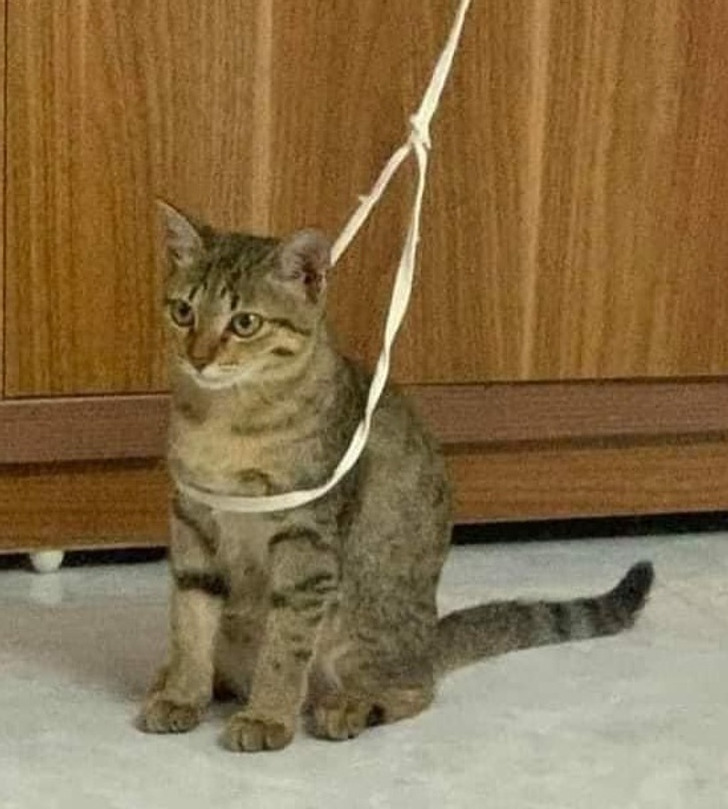 6d36bd51459482eee3627f4d26 6d36bd51459482eee3627f4d26