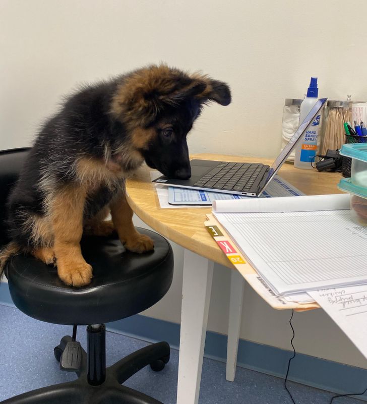 6d3d98591781e86eb70e5d7214 6d3d98591781e86eb70e5d7214