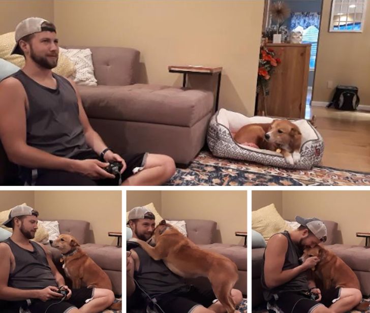 6d41fc57318695887fb6d8c72b