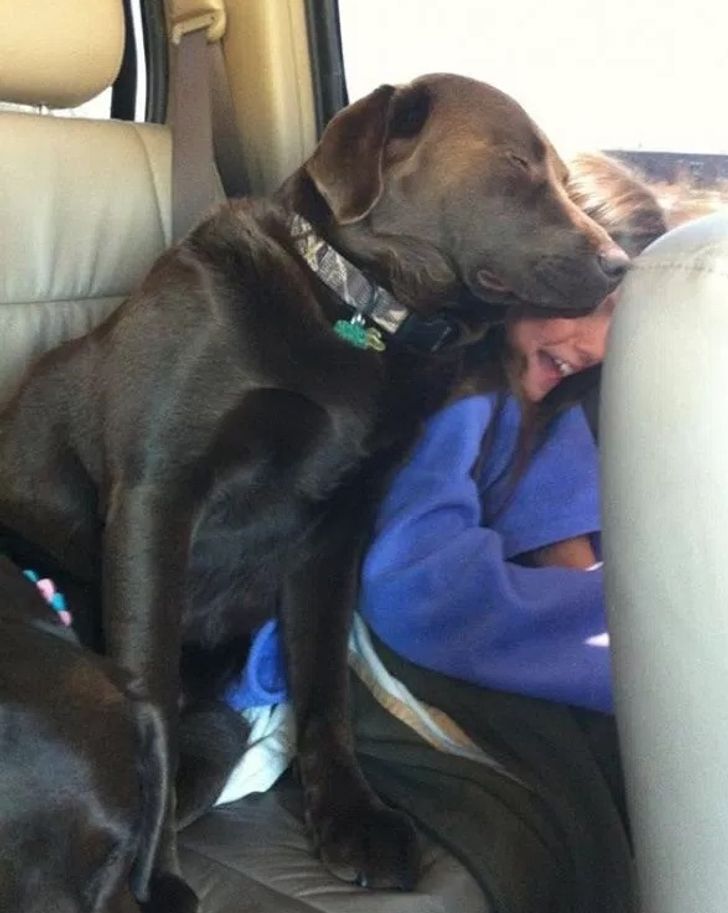 6d44c8591cba3cf408932c5f0d