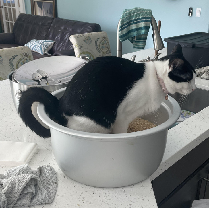 6d4e7152c883cdb4d7569f7cbb