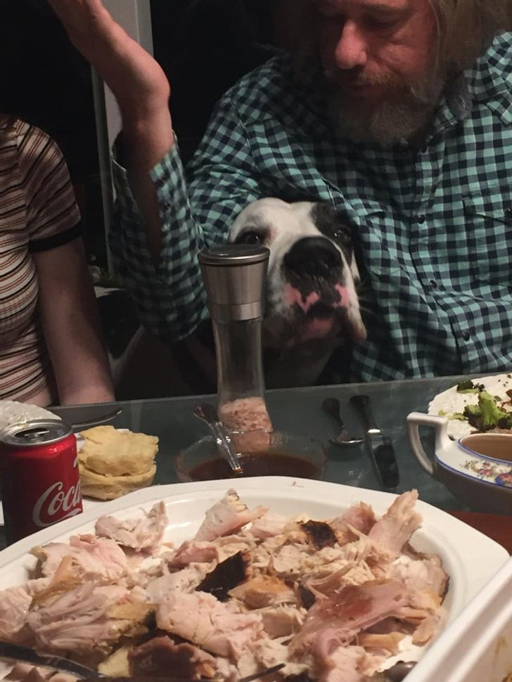 6d4e8e533ca256a47f21de8b83