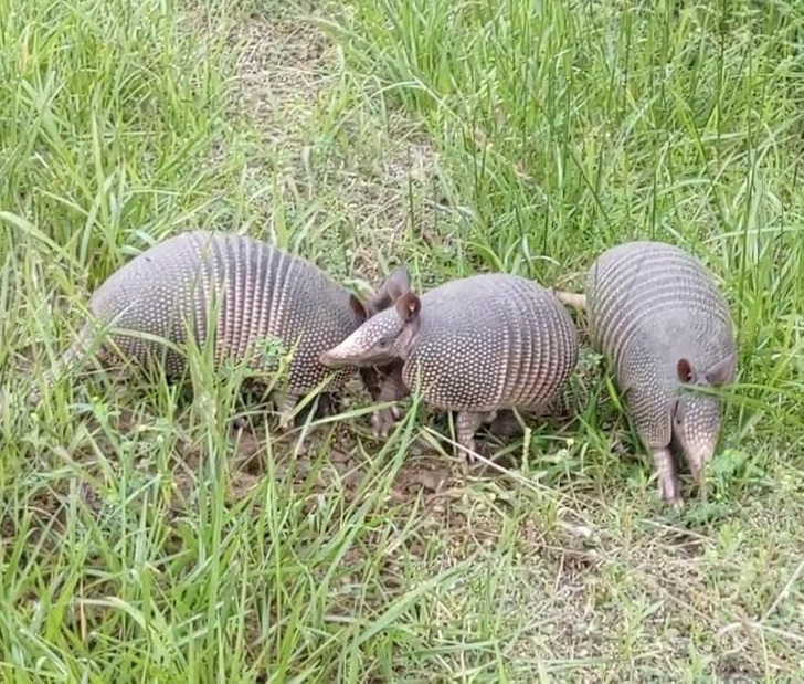 6d556652fd946140ca66afdd48