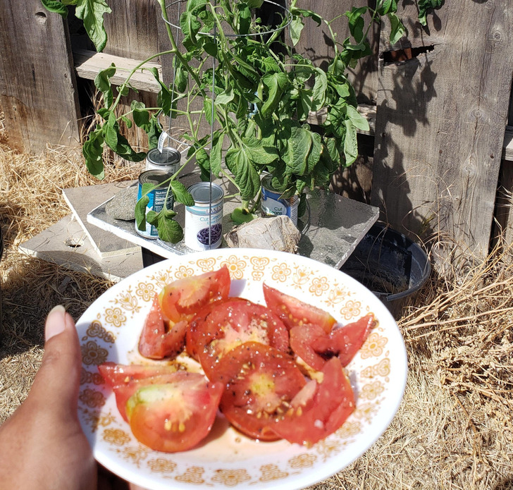 6d56c4586a852a0315d5595fc5