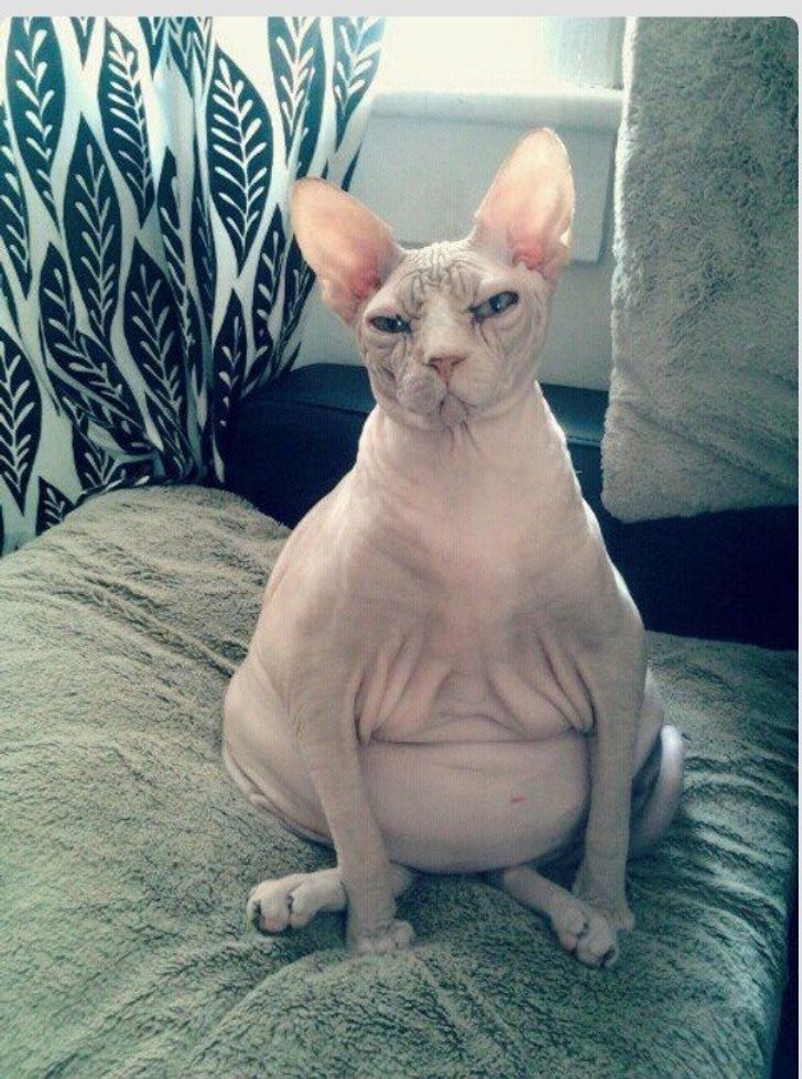 6d56ce51a28fad9ed1fd5f036d