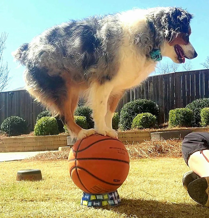 6d635956adaeda249de942dc0a