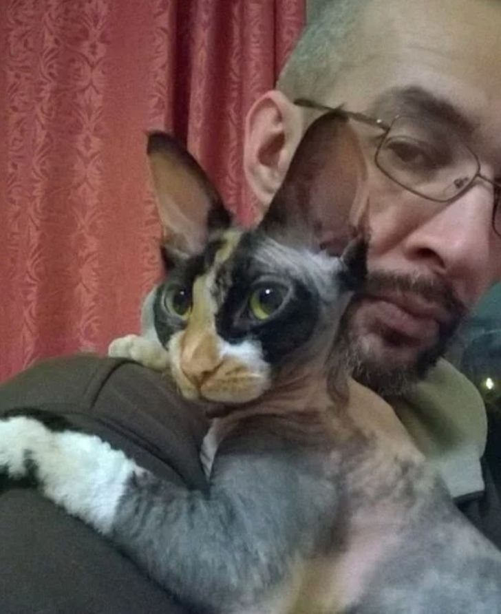 6d67a859c8a8d338d684a270e4