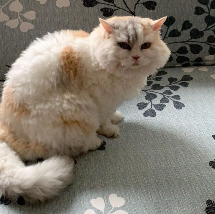 6d6f5e5b3ca1ccd46ec1d8815f