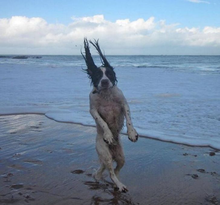 6d72ed583c8ed3af485d655f69