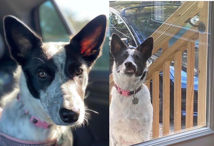 6d74085212afac6cabb68b9c67