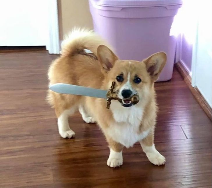 6d77725445b4e2d5b092565bab