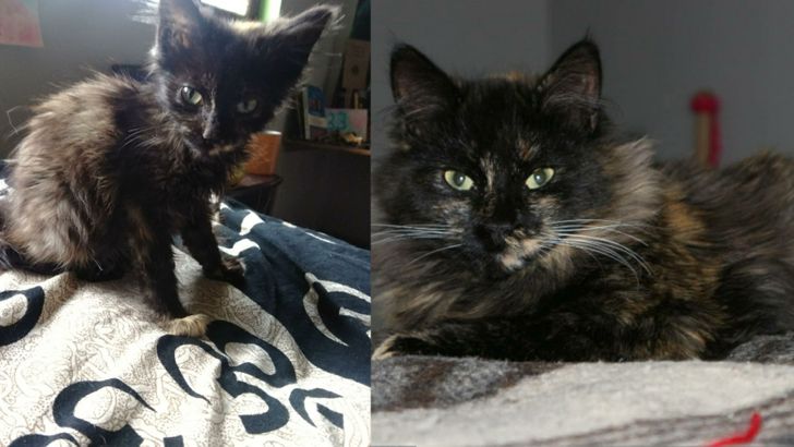 6d79d450758f67d925242dac83