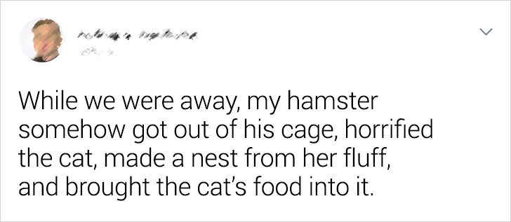 6d82215d07847122436bf1e843