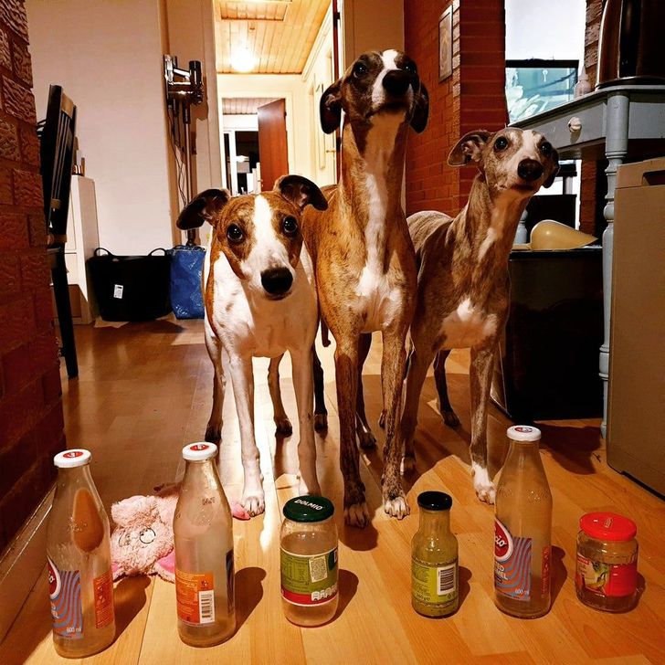 6d841f5e4f84cabe1a08170c2d