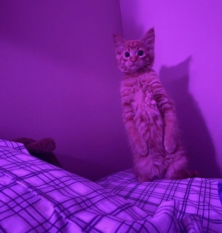 6d87f259648d44826175dc3510