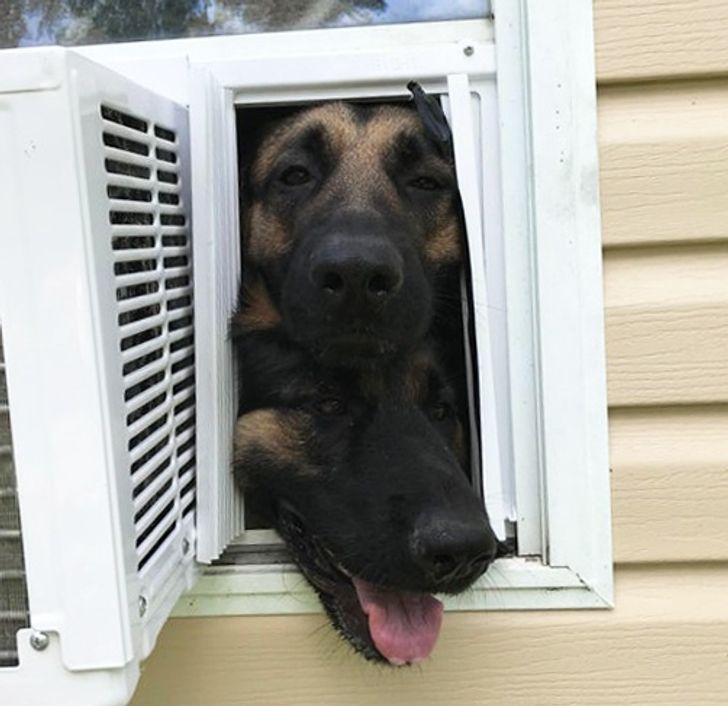 6d891e59f79549870504049b31