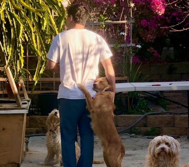 6d8c1e546f85e81ae548d71495