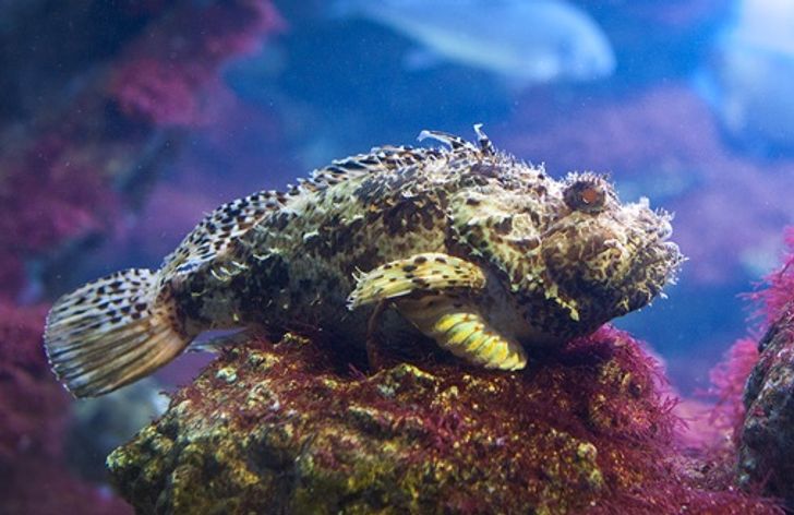 6d8e555dddbfd5ab231b6e110e