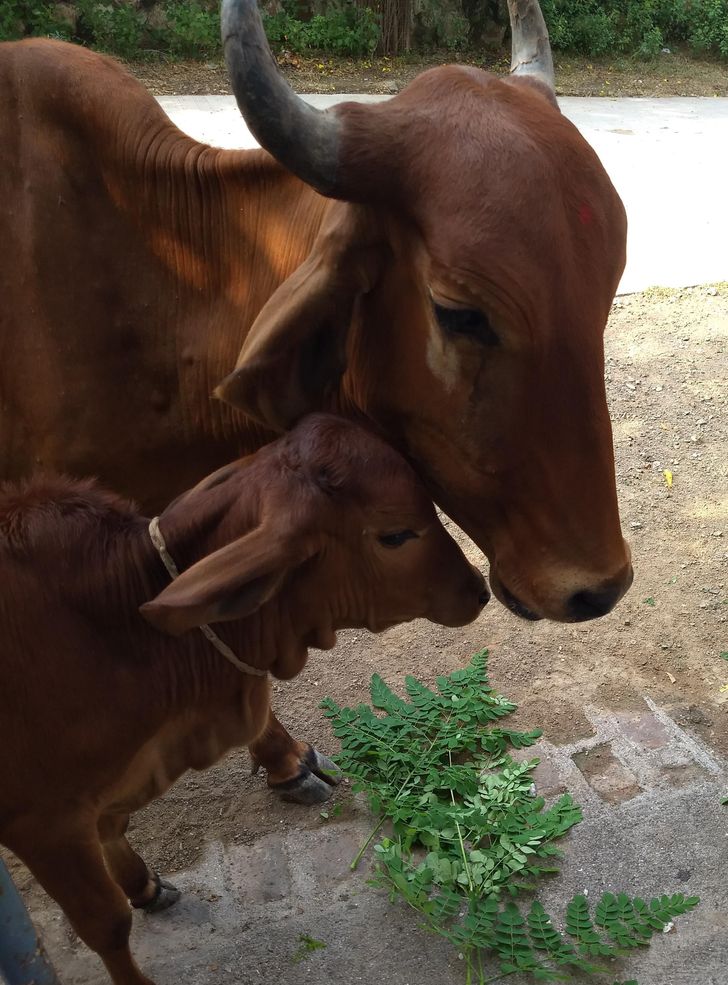 6d9b6c5bd8a5da504b4d700314