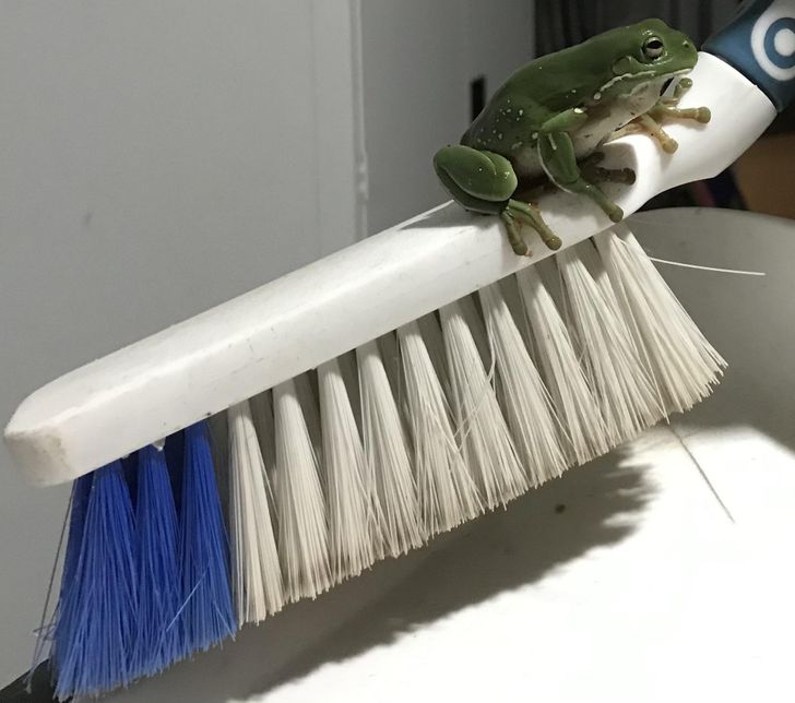 6d9be95e379418ce74286e7827