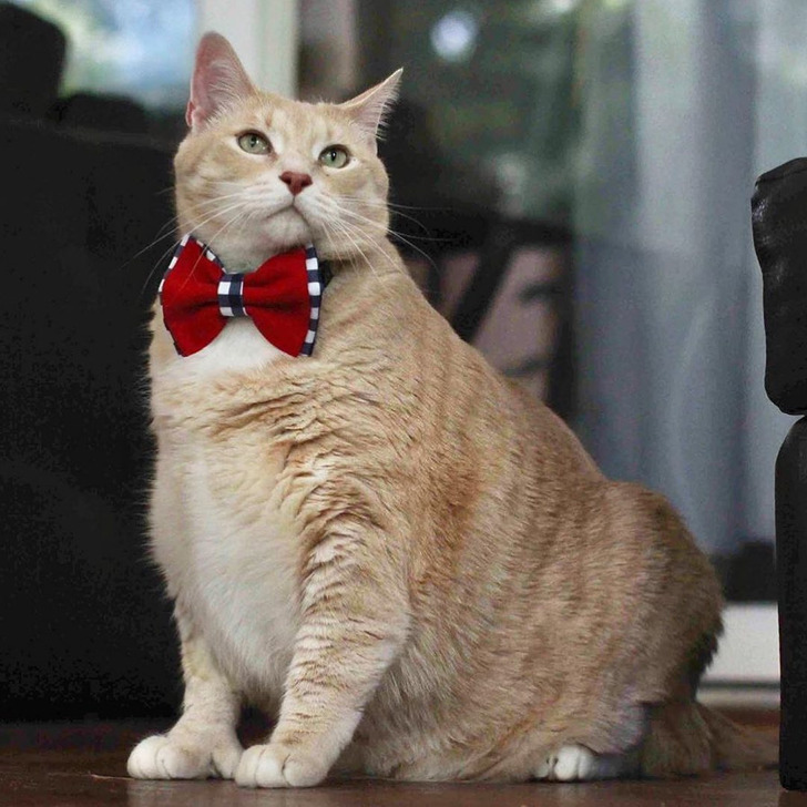 6da3795aa482301d82369c250f