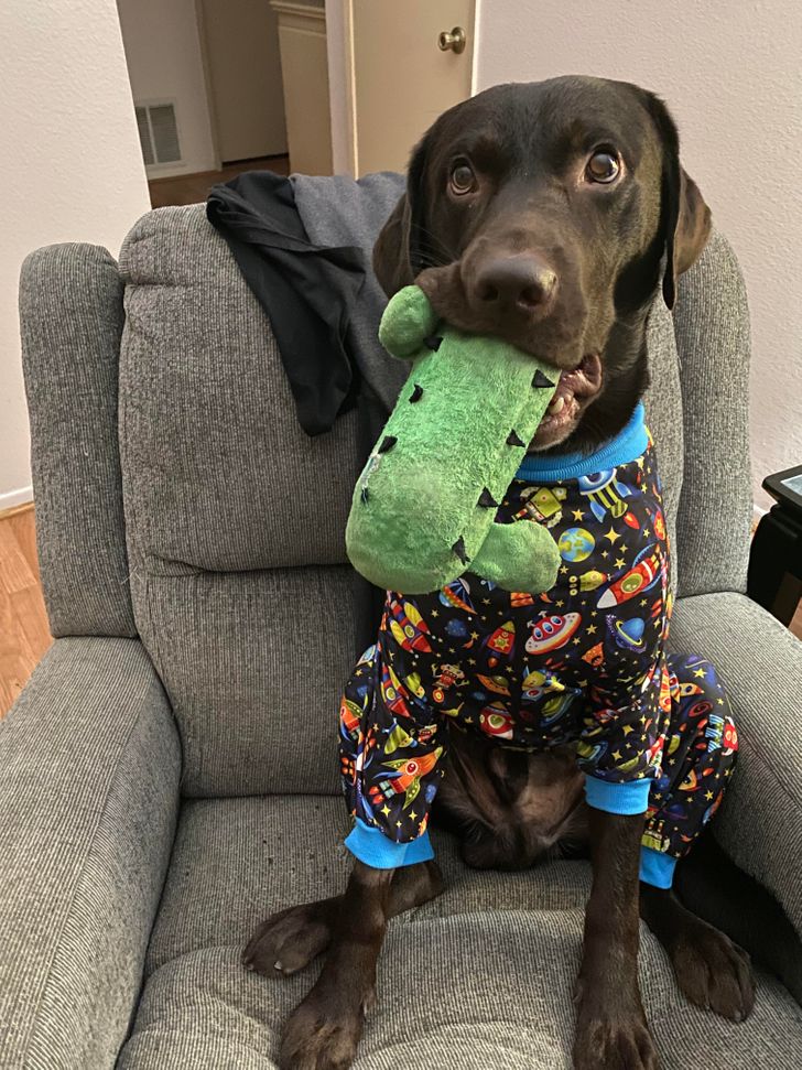 6da45e5d4bb7e244e530f3b263