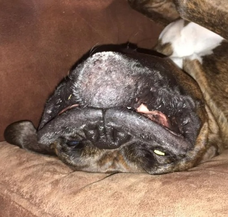 6da614527b948f4fd0528ba28d