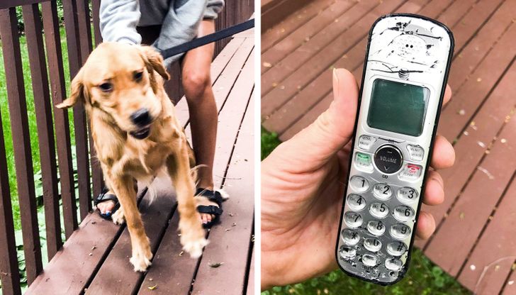 6db7b459f6b22b808e779bec91