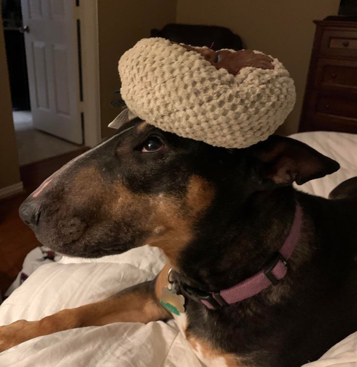 6dc01159aaa1ef3221d21be899