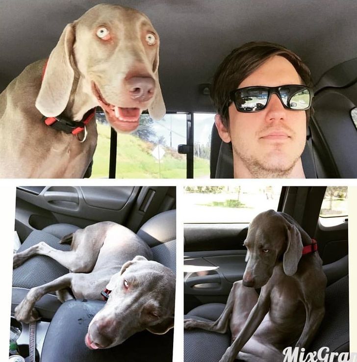 6dc7f5503181054925089dde56