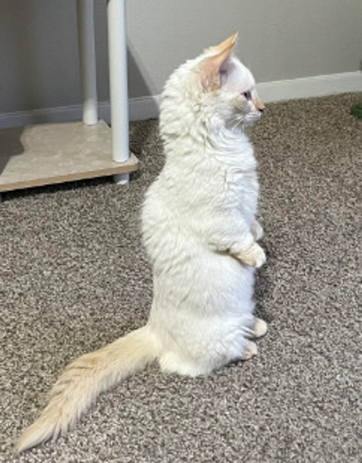 6dc8f450608638355011d308ab 6dc8f450608638355011d308ab