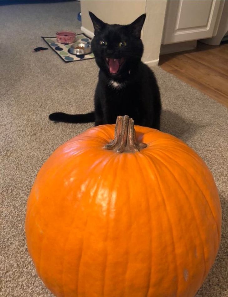 6dd25c5cdeaea12cfdfaa63f79