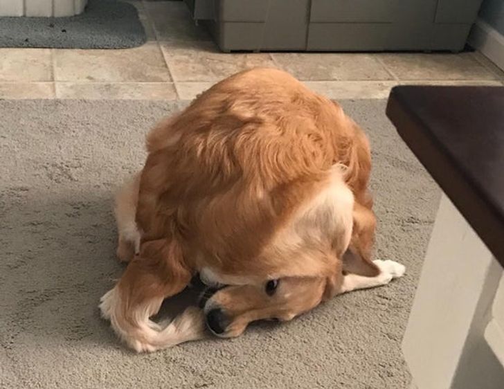 6ddb4e59e8952e118a1cc2c220