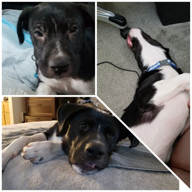 6dea805398b08bfb042c93efff