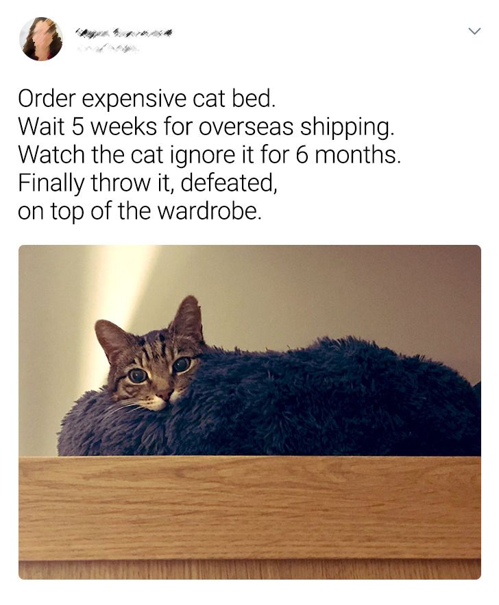 6dedc15ed19ed59ffa4f5a94fb