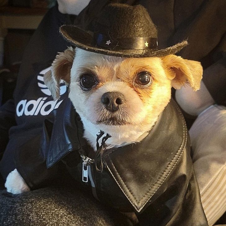 6df12559cbb2c0f86835efba26