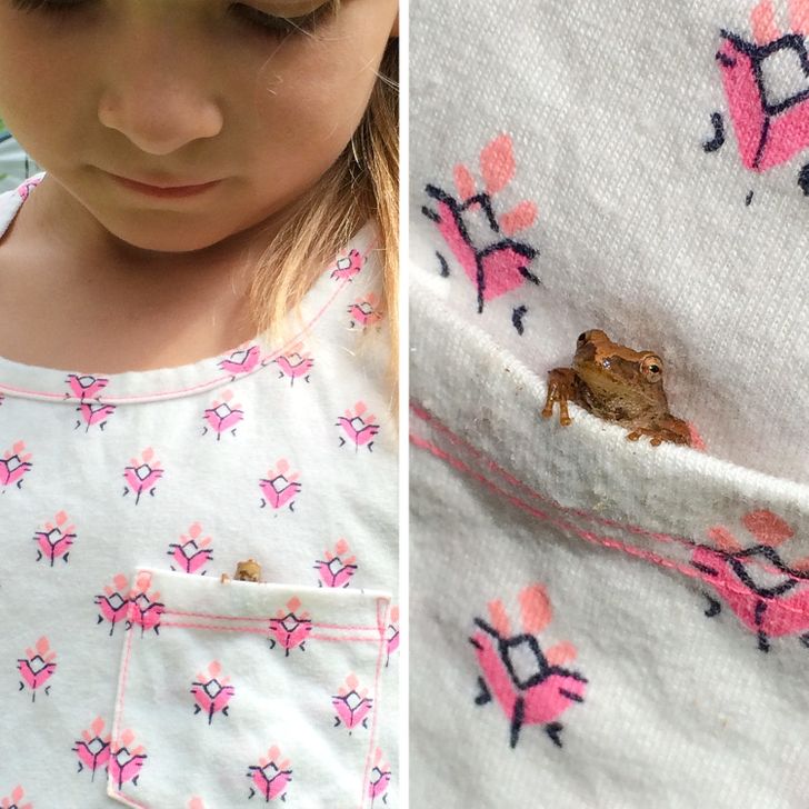 6df4c45851bddf907350337a58